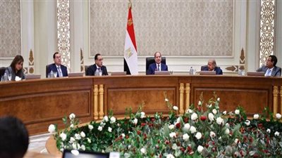 السيسي يدعو إلى تكثيف الجهود لتصنيع مكونات إنتاج الطاقة المتجددة