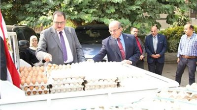 «الزراعة» تطرح بيض المائدة بسعر 72 جنيها للكرتونة 