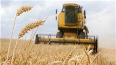 الأمم المتحدة ترحب باستئناف روسيا مشاركتها في صفقة الحبوب 