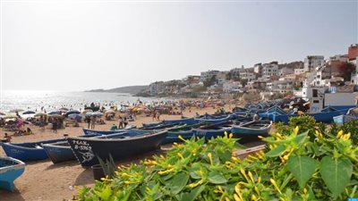 قنصل عام الصين بالإسكندرية: القاهرة وبكين سيعززان التعاون في الاستجابة لتغير المناخ