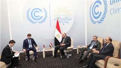 «شكري» يستقبل مبعوث المناخ الروسي ونائب وزير البيئة التركي 