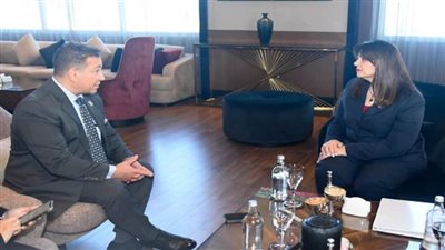 وزيرة الهجرة تبحث سبل دعم التحول الرقمي مع مستثمرين مصريين بالخارج على هامش مؤتمر المناخ Cop27 (صور)