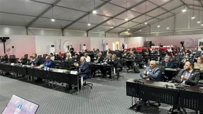 طلب رسمي من مجلس الشباب المصري في قمة المناخ بشأن الأمن الغذائي