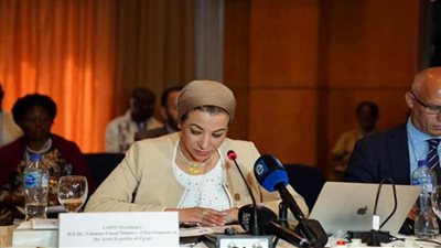 وزيرة البيئة تشيد بالتمثيل الإفريقي المميز في مؤتمر المناخ على المستويين الرسمي وغير الرسمي (صور)