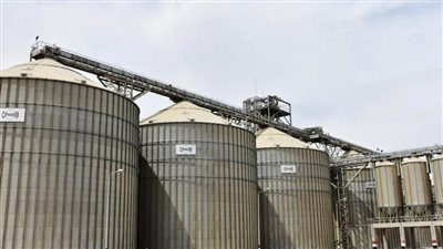 رغم الأزمة الأوكرانية.. واردات مصر من القمح ترتفع بنسبة 79% خلال أغسطس الماضي