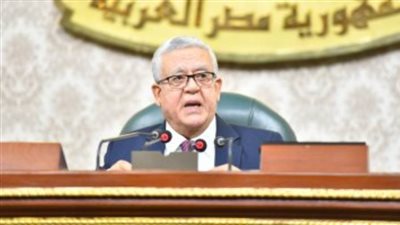 مجلس النواب يعرب عن رفضه واستيائه من قرار البرلمان الأوروبى حول حقوق الإنسان بمصر