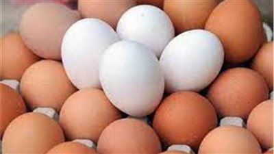 انخفاض أسعار البيض اليوم.. والكرتونة بـ62.5 جنيه في المزرعة 
