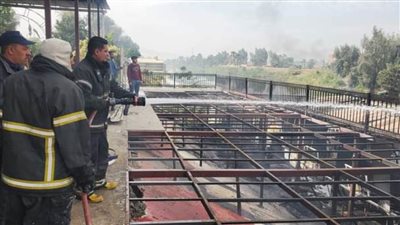 دون خسائر في الأرواح.. 10 سيارات إطفاء تسيطر على حريق نادي أطباء أسيوط 