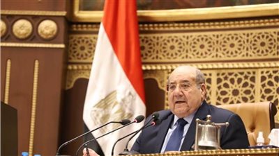 «عبد الرزاق» يرفع أعمال الجلسة العامة للشيوخ للغد 