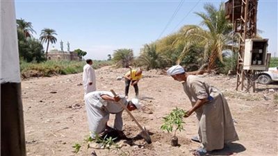 بالإنفوجراف.. تفاصيل المبادرة الرئاسية «100 مليون شجرة»