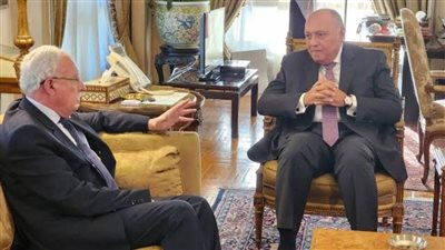 شكري: مصر تشارك العالم الاحتفال بيوم التضامن مع الشعب الفلسطينى