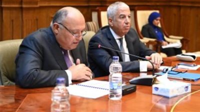 وزير الخارجية: أزمة الطاقة العالمية فرضت تحديا أمام الدول لتأمين احتياجاتها