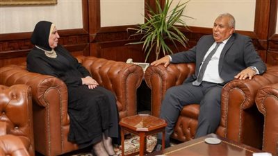 مجمع مميكن جديد لجهاز تنمية المشروعات في الوادي الجديد لدعم وتمويل المشروعات الصغيرة بالمحافظة