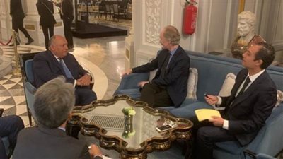 وزير الخارجية يؤكد ثوابت الموقف المصري حيال الأزمة في سوريا