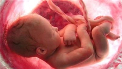 أول جمعة من ديسمبر.. الموعد الرسمي ليوم ذوى الإعاقة في مصر