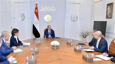 السيسي يستقبل المدير التنفيذي لمجموعة أورانج العالمية للاتصالات