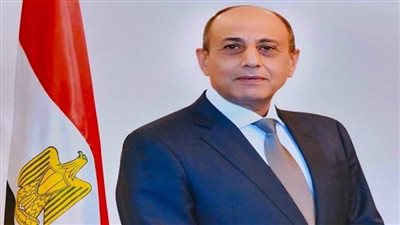 للمرة الثانية على التوالي.. مصر تفوز بمنصب نائب رئيس لجنة حماية البيئة بمنظمة الإيكاو 