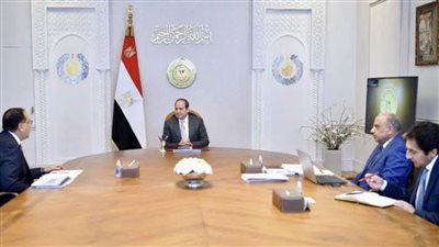 تأهيل القدرات.. السيسي يوجه بمواصلة جهود تطوير شركات قطاع الأعمال العام