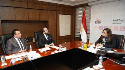 هالة السعيد تبحث سبل التعاون مع شركة 