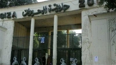 الحكومة توافق على بدء إجراءات تطوير حديقتي الحيوان والأورمان بالجيزة