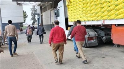الزراعة والتموين تكثفان حملات التفتيش على مصانع الأعلاف بالقليوبية 
