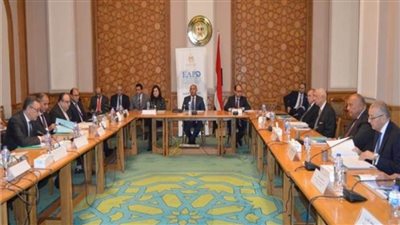وزير الخارجية يترأس اجتماع مجلس الوكالة المصرية للشراكة من أجل التنمية 