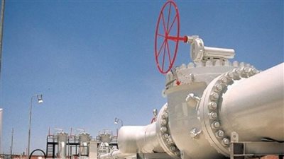 وصول أول ناقلة غاز طبيعي مسال إلى ميناء لوبمين شمال شرقي ألمانيا