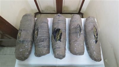 سقوط اثنين من العناصر الإجرامية بحوزتهما كمية من البانجو بالأقصر 