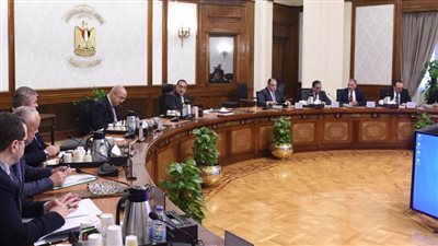 مدبولي: الحكومة لن تكسب جنيها واحدا من ثمن الأراضي الصناعية.. وما يهمنا هو تشغيل المصانع