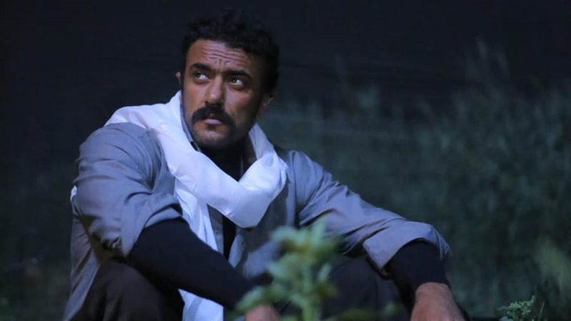 الشورى