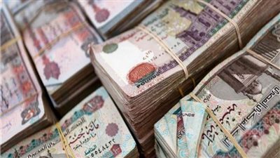 الداخلية تضبط قضايا تجارة عملة بقيمة 25 مليون جنيه