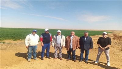 وزير قطاع الأعمال العام من توشكى: التوسع في زراعة القمح وزيادة مساحته إلى 50% من إجمالي المساحة (صور)