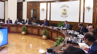 السيسي يتابع مؤشرات الأداء المالي للدولة ونشاط قطاعي الجمارك والضرائب