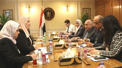 وزيرا قطاع الأعمال العام والتضامن يبحثان تعزيز التعاون في إقامة مشروعات صغيرة (صور)