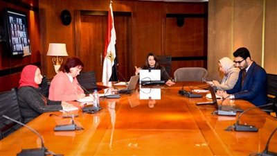 وزيرة الهجرة تدعو المصريين بالخارج لشراء سيارات من السوق الحرة ضمن قانون استيراد سيارة معفاة من الجمارك (صور)