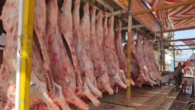 أسعار اللحوم اليوم الأحد 29-1-2023 في الأسواق