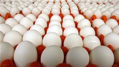 أسعار البيض بمنافذ الزراعة والأسواق اليوم الثلاثاء 31 يناير