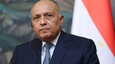 مبادرة لتعميق العلاقات.. وزير الخارجية يلتقي سفراء دول أمريكا اللاتينية