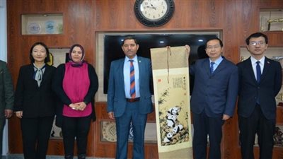 التعليم العالي: 