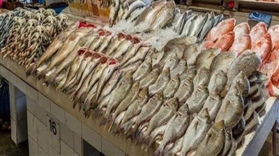أسعار الأسماك في مصر اليوم الجمعة 27-1-2023