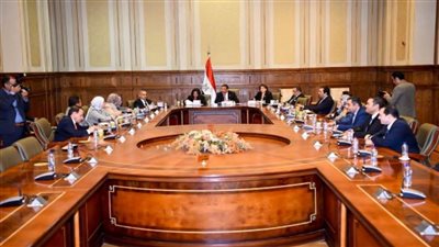 وزيرة الهجرة تشارك في اجتماع لجنة الشئون الخارجية والعربية والإفريقية بمجلس الشيوخ (صور)