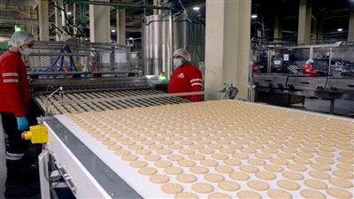 رئيس مجلس الوزراء يتفقد مصنع 