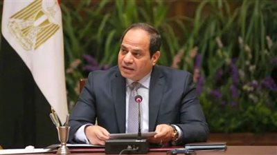 السيسي يتسلم رئاسة مصر لـ اللجنة التوجيهية للنيباد