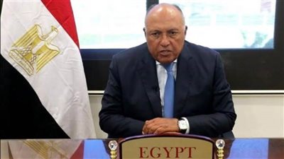 شكري يستعرض مع مبعوث الاتحاد الأفريقي للصومال التجربة المصرية في القضاء على الإرهاب