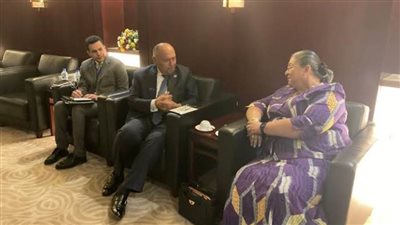 شكري يؤكد محددات الموقف المصري الثابت بالتوصل لاتفاق ملزم لملء وتشغيل سد النهضة