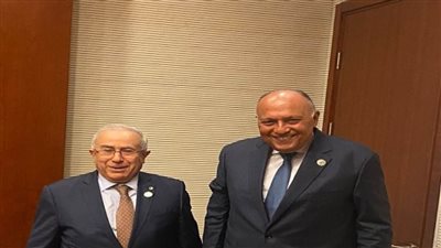 وزير الخارجية يلتقي نظيره الجزائري لبحث تعزيز العمل الجماعي الإفريقي