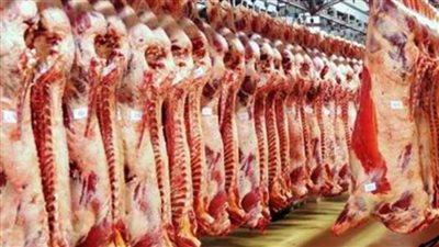 أسعار اللحوم اليوم الخميس في الأسواق