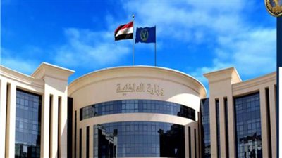 الداخلية: ضبط 11 قضية تهريب بضائع وأسلحة عبر المنافذ 