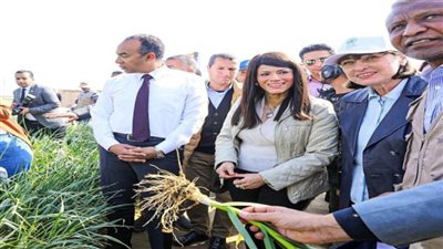 التعاون الدولي ومكتب الأمم المتحدة يطلقان «أسبوع الشراكة» (صور)