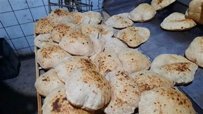 ضبط وتحرير 76 محضرا ومخالفة تموينية في الإسماعيلية 